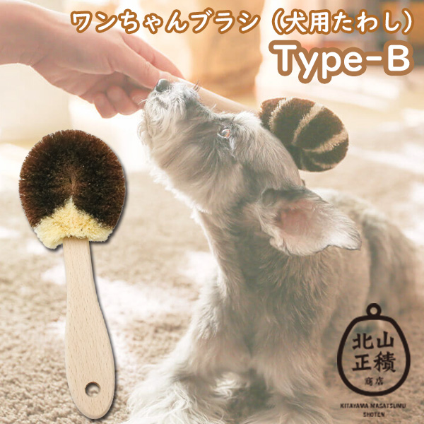 わんちゃんページ 楽天市場】ワンちゃんはおともだち チワワ 電動動物 犬