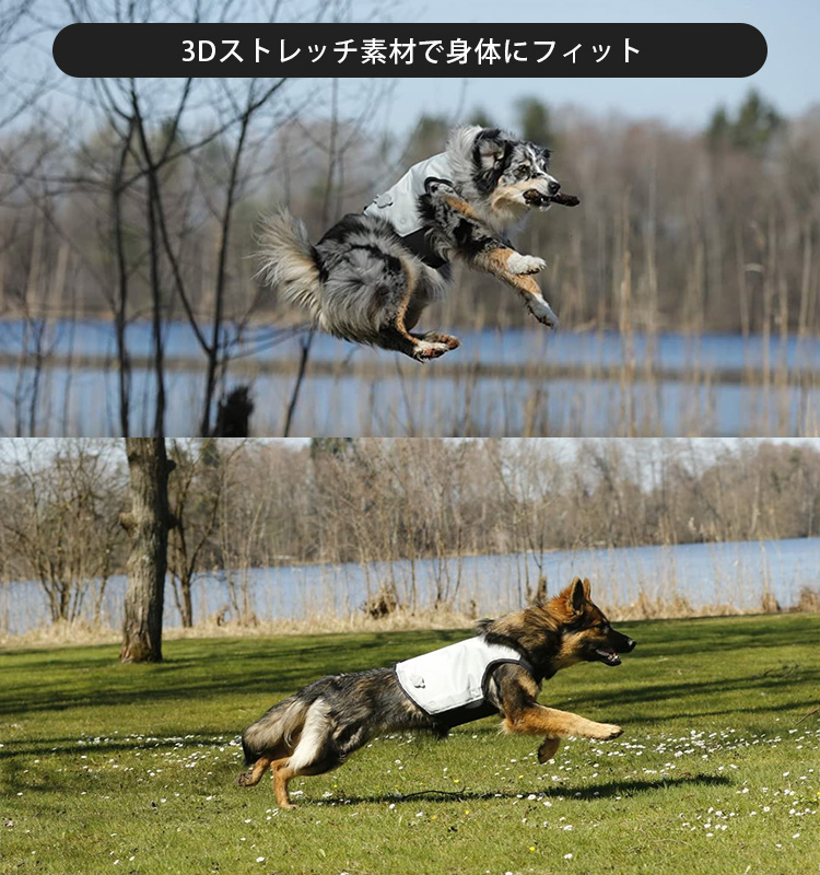 Jula　cani.cool カニクール　ベスト　L 暑さ対策 編集Aの太鼓判はコレ！】まさに着るクーラー！全ブヒに推したい