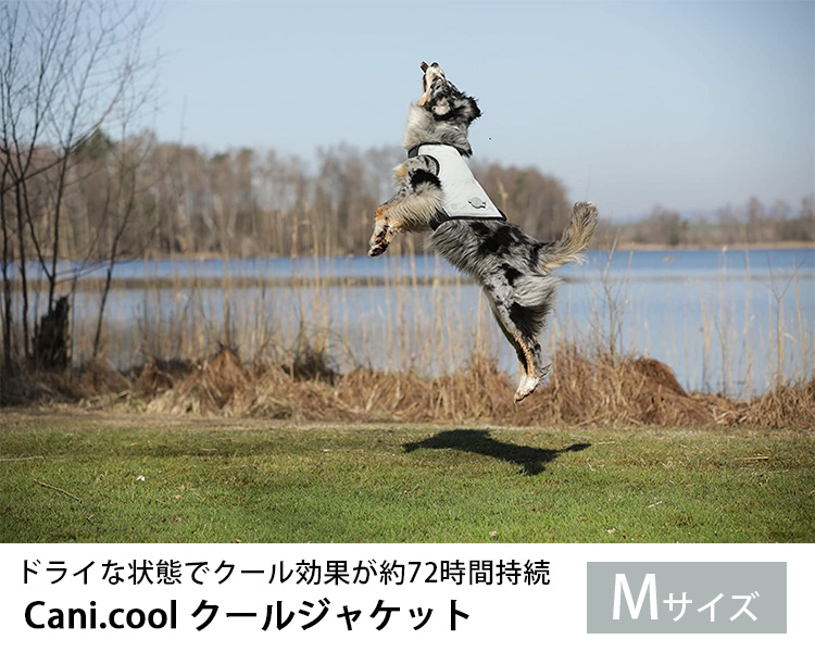 クールジャケット Mサイズ CANI COOL カニクール｜クールコート