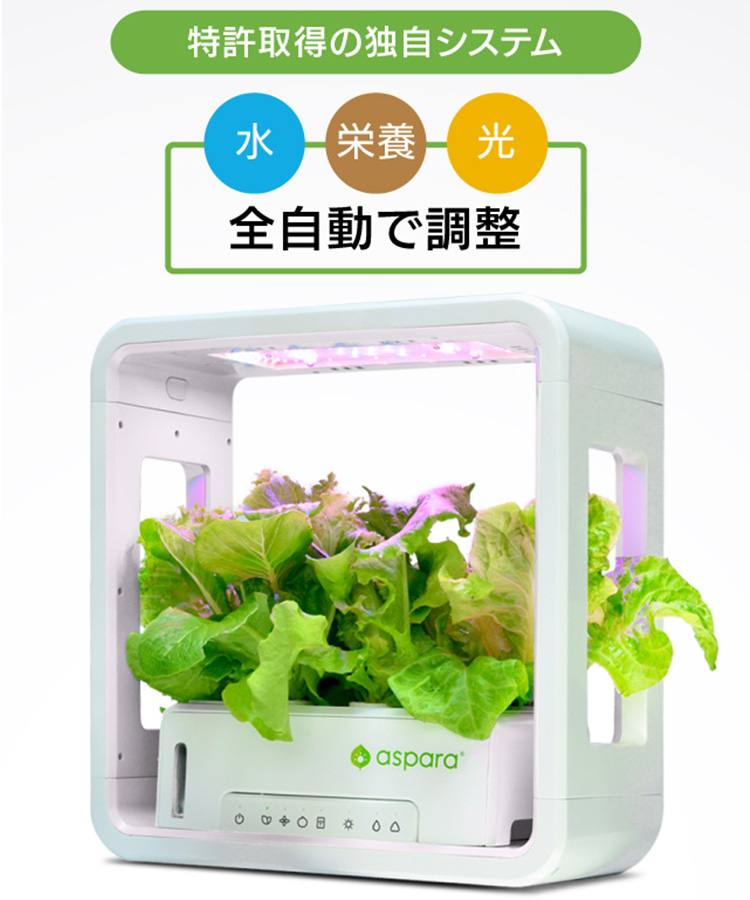 正規販売店 アスパラガーデン LITE スターターキット 水耕栽培