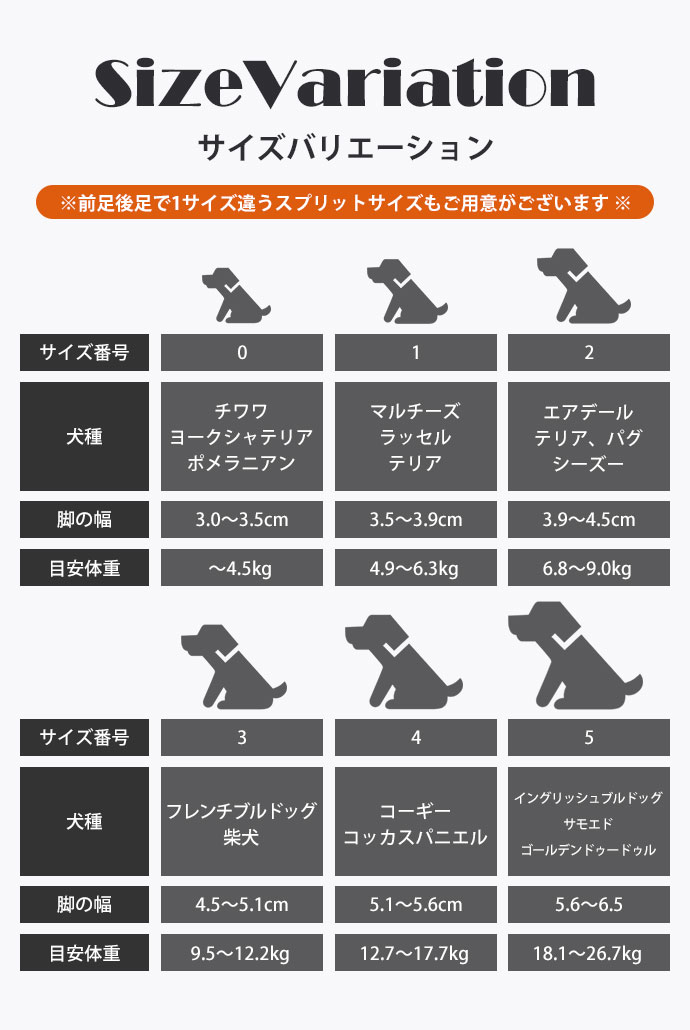 Apollo1 （アポロワン） 茶＆緑 獣医師監修多機能ドッグシューズ