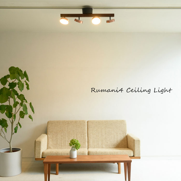 RUMANI4 CEILING LIGHT ルマーニ シーリングライト 4灯 ASPー810