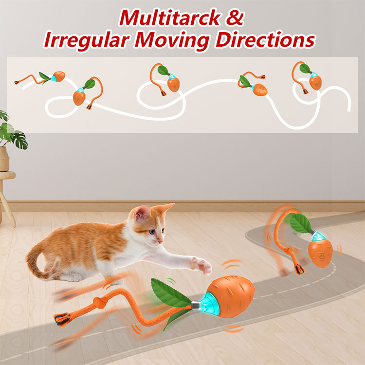 BENTOPAL SMART CAT TOY L01 電動式猫用おもちゃ ベントパル : flaner