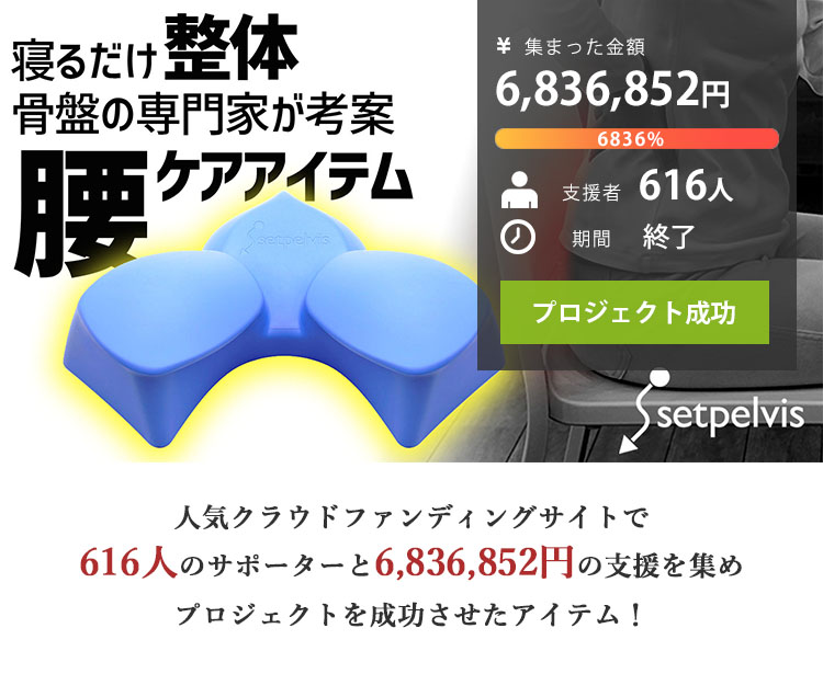 セットぺルビス ポリウレタン製 本格腰ケア setpelvis : flaner - 通販