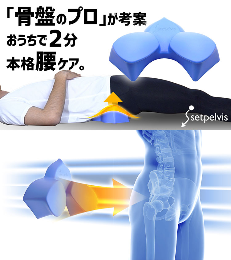 セットぺルビス ポリウレタン製 本格腰ケア setpelvis : flaner - 通販