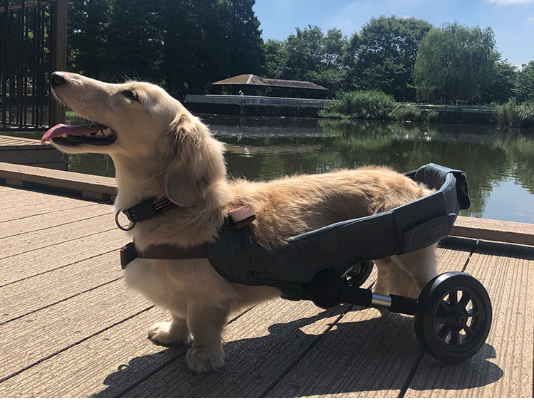 犬用車いす WANCORO 3点セット レギュラー ロング 本体 縫製品