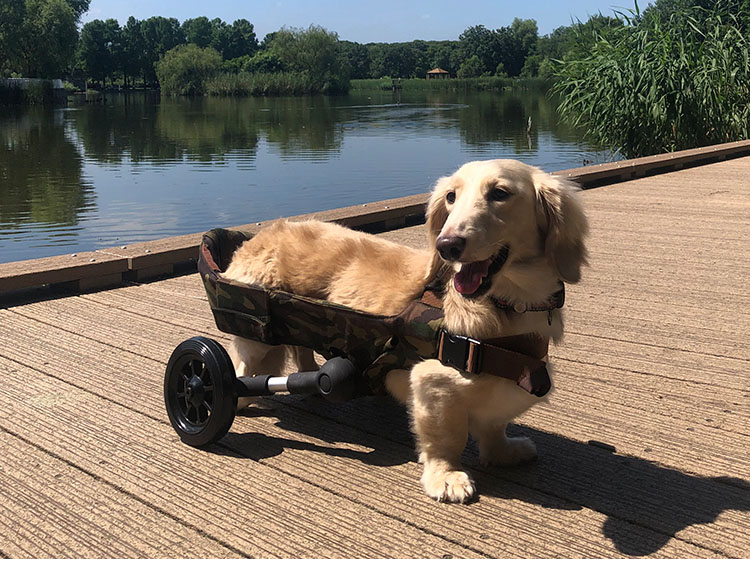 犬用車いす WANCORO 3点セット レギュラー ロング 本体 縫製品