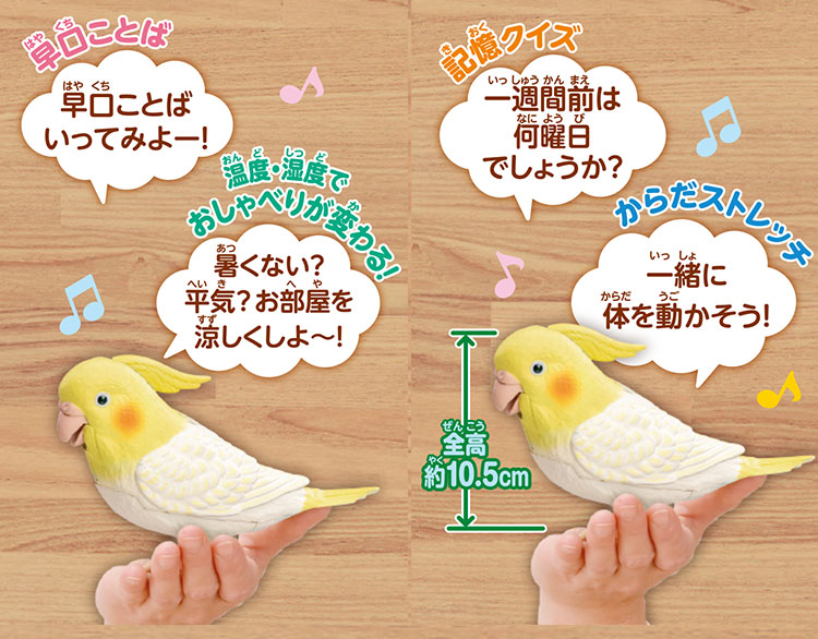 Amazon.co.jp: タカラトミーアーツ ヒーリングパートナー もっと