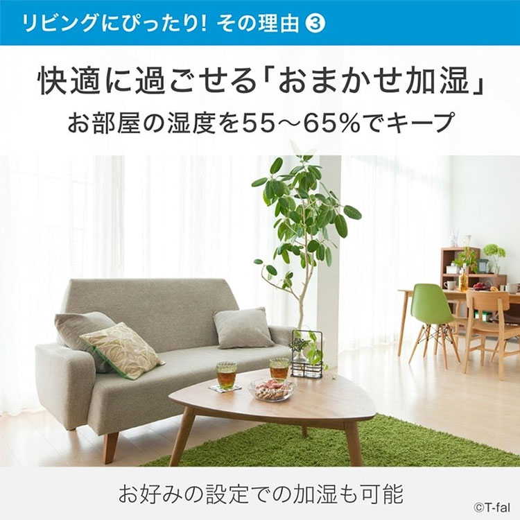 T-fal（ティファール） 加熱超音波式加湿器 スチーム アンド ミスト L