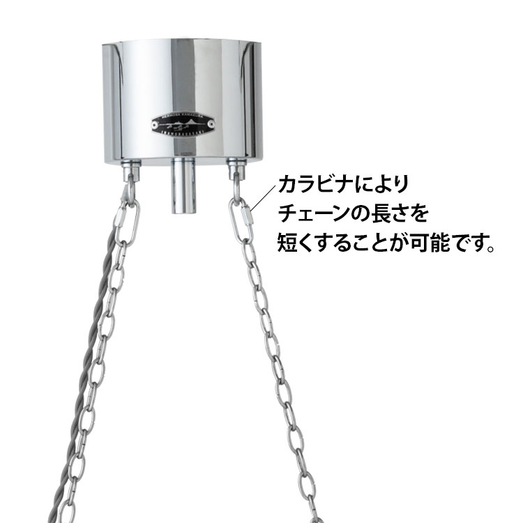イモガイ類 - Kaiショップ