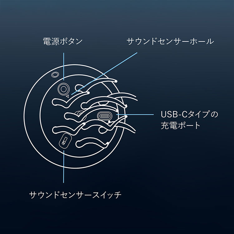 ジェリーフィッシュ magnet フローティング ジェリーフィッシュ｜FLOATING JELLY