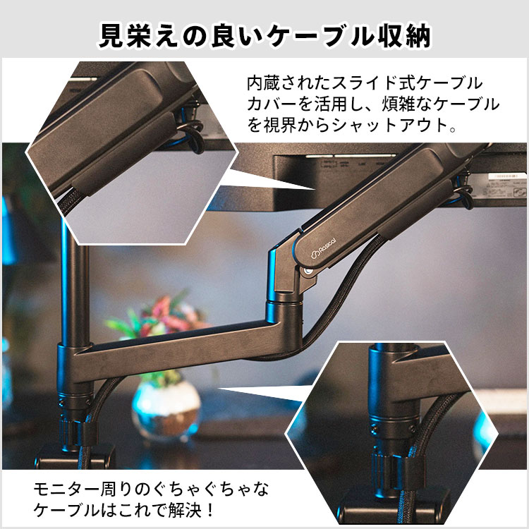 Rasical Monitor Arm｜ラシカル モニターアーム ディスプレイアーム PC