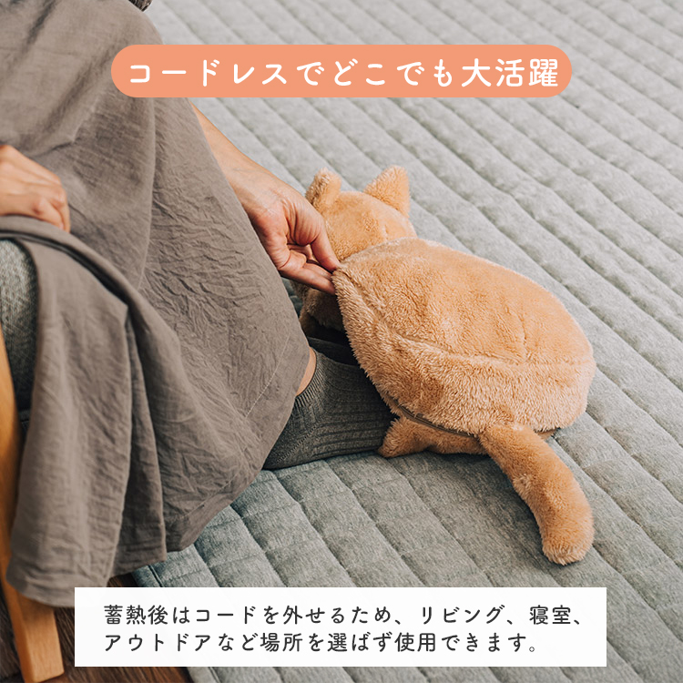 12/2「ZIP！」紹介 蓄熱式 ねこ湯たんぽ｜湯たんぽ ねこ アンカ 蓄熱式