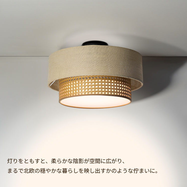 HERMOSA（ハモサ） リーデン ディマー シーリングランプ ER-001（内蔵