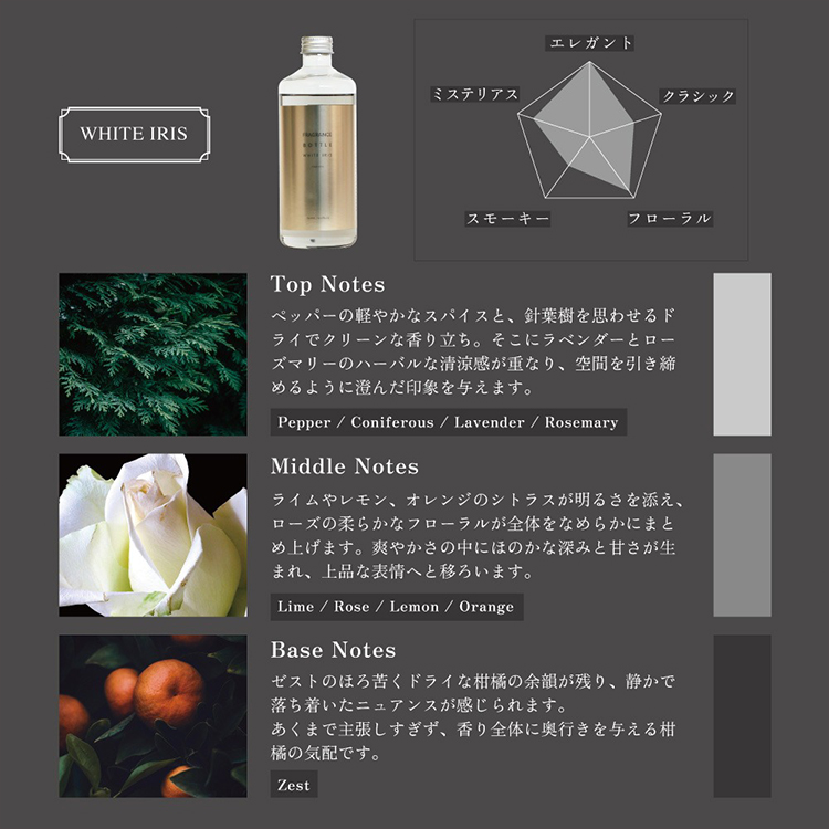 magnet リードディフューザー フレグランスボトル MAG マグネット 本体