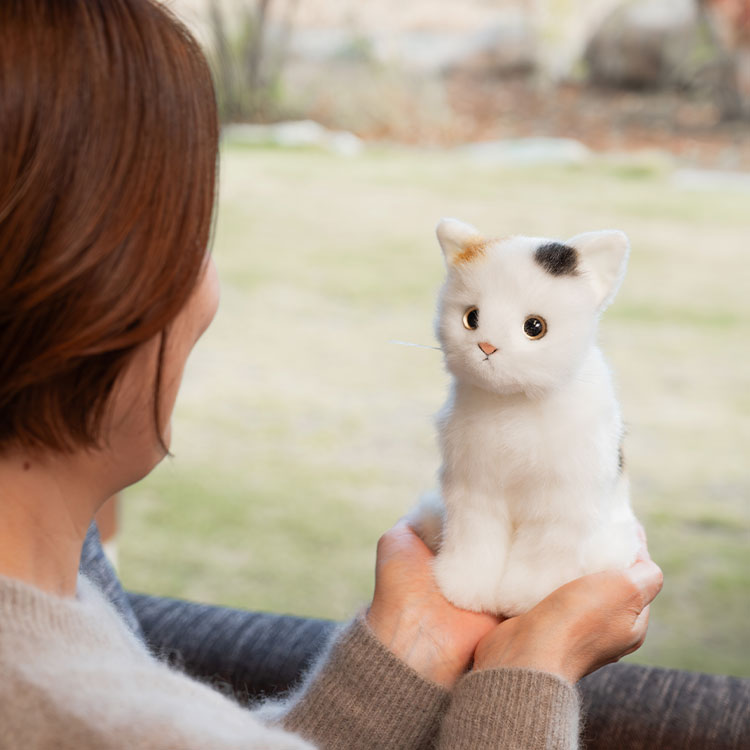 なえなのちゃん直筆サイン入りまねきねこぬいぐるみ まねきねこにて夏限定🌻のなえなのコラボメニューが出たよ〜！ すでに