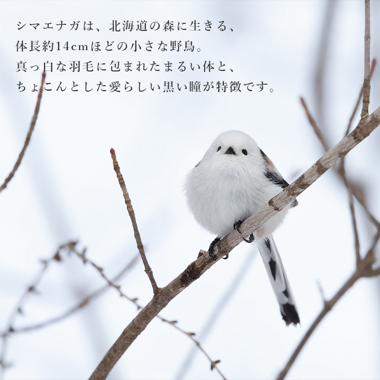 能作 風鈴 シマエナガ｜日本製 真鍮 ふうりん 金属製 鳥モチーフ 小鳥