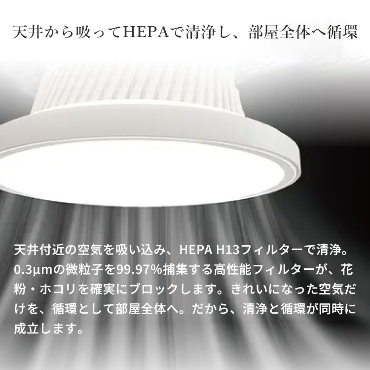 シーリングファンライト 8-10畳 Φ49cm ファン付き照明 サーキュレーター シーリングファンライト 空気清浄機 サーキュレーター 澄のわ 一体型 8