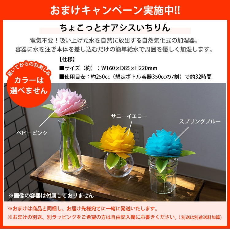 ちょこっとオアシスいちりんおまけ付き