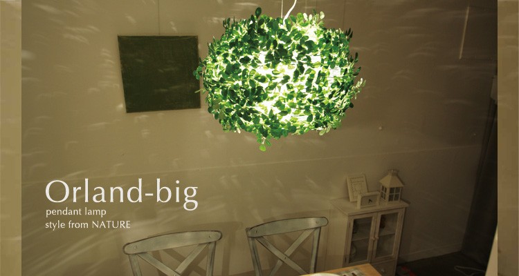 DI CLASSE（ディクラッセ） DI CLASSE Orland-big （オーランドビッグ