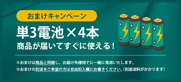 単3電池×4本おまけ付き