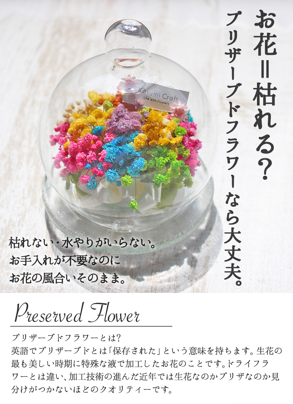 楽天市場】【Vivid dry arrangement】 プリザーブドフラワー