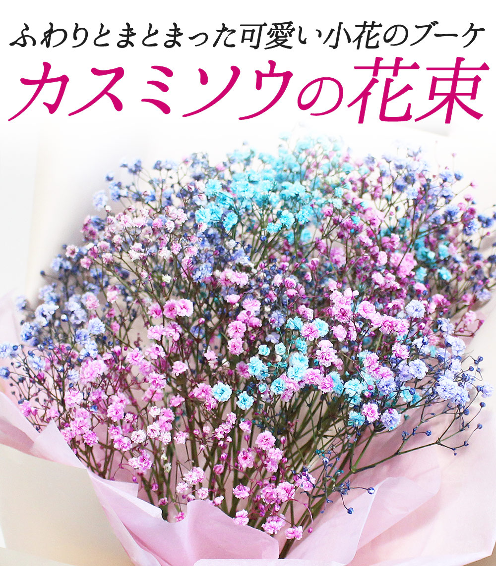 最短翌日着 カスミソウ 花束 かすみ草 生花 乾燥して ドライフラワー