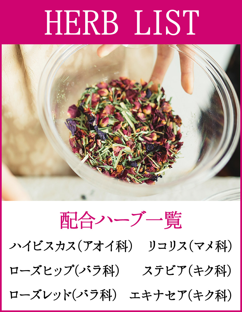 くまモン くまもん ハーブティー ティーバッグ 煮出し 水出し アイス ティー お茶 紅茶 ノンシュガー ノンカロリー あすつく 七五三 お花 セット 写真と花の専門店 フランネリカ 通販 Paypayモール