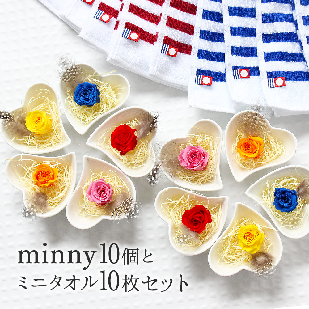 最短翌日着 minny ミニー 10個 今治 タオル ハンカチ セット