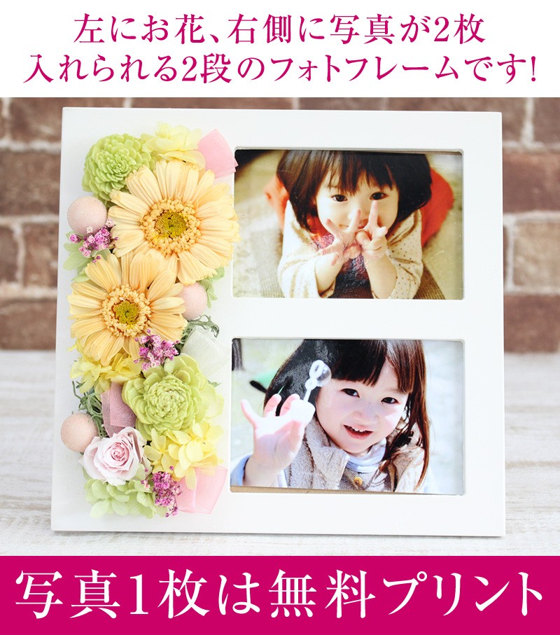 人気正規店 プレゼント 誕生日 お見舞い 結婚祝い お祝 Flannerica 通販 Paypayモール クリスマス 花 プリザーブドフラワー ギフト フォトフレーム 2枚 写真立て 即納安い Vanderschooten Com