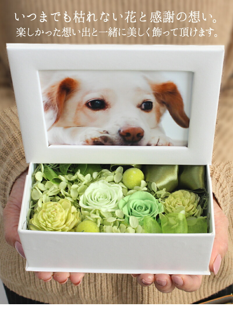 大規模セール フランネリカ プリザーブドフラワー 犬 お悔やみ 贈り物 お供え ペット 仏花 プレゼント ギフト かわいい 写真立て L版 花 アレンジメント 誕生日 お祝い