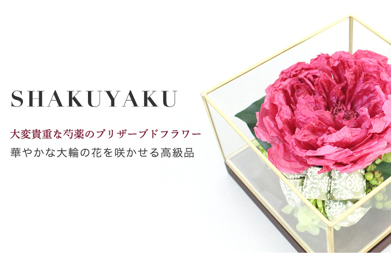 プレゼント 卒業式 花 プリザーブドフラワー ガラスケース ギフト 大輪 豪華 芍薬 花 誕生日 記念日 プロポーズ お祝 送別 卒業 入学 結婚祝い 母の日 22 花 Flannerica 通販 Paypayモール