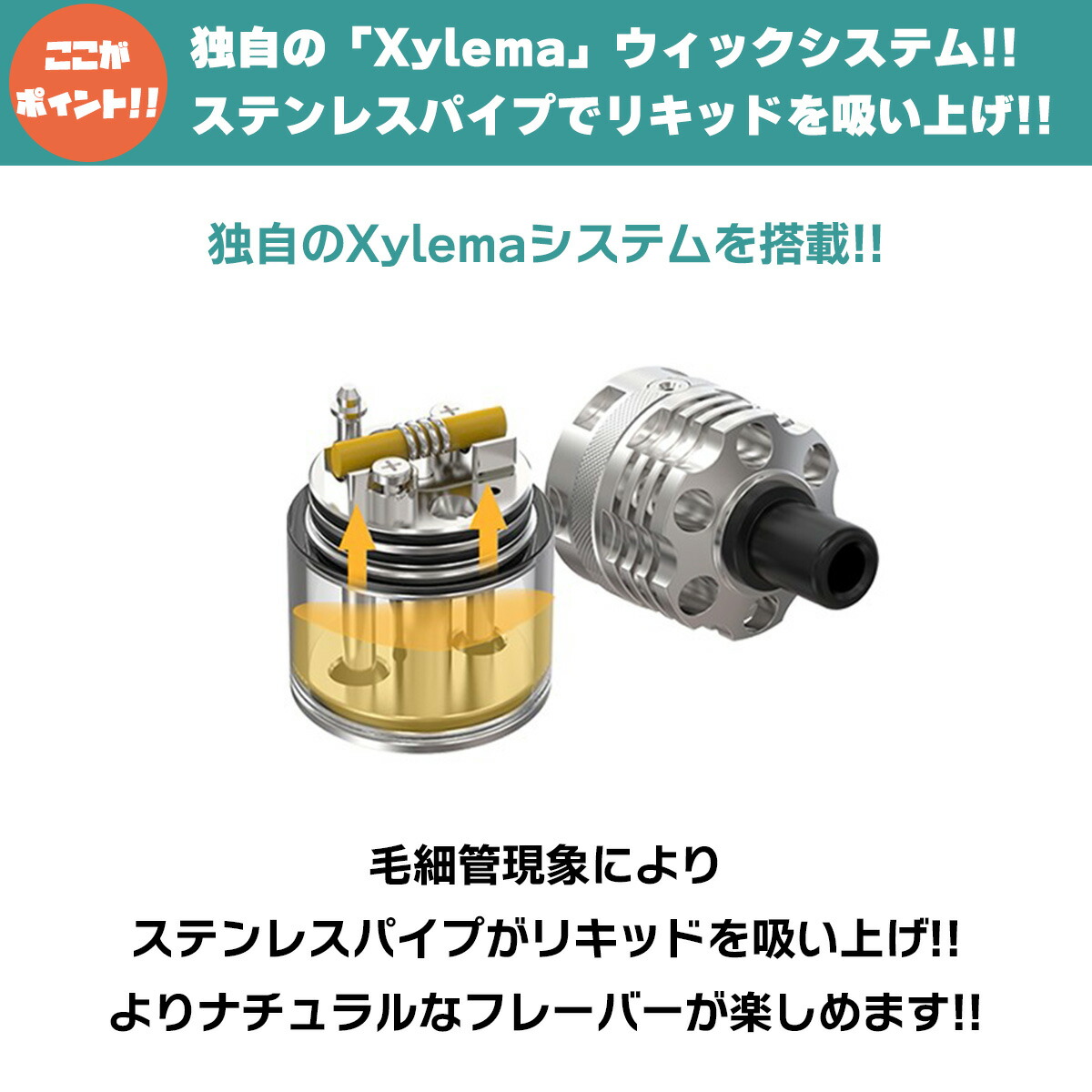 AmbitionMODS Ripley MTL RDL RDTA SS アンビションモッズ リプレイ RDTA リプリー 電子タバコ vape  アトマイザー RBA RDTA 直径22mm シングル : 6830201-stn : 電子タバコ専門店 Flavor-Kitchen - 通販 -  Yahoo!ショッピング