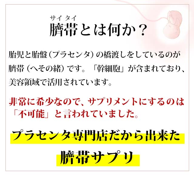 母の滴臍帯100 国産 馬100% 臍帯 飲む 美容液 天然 ヒアルロン酸