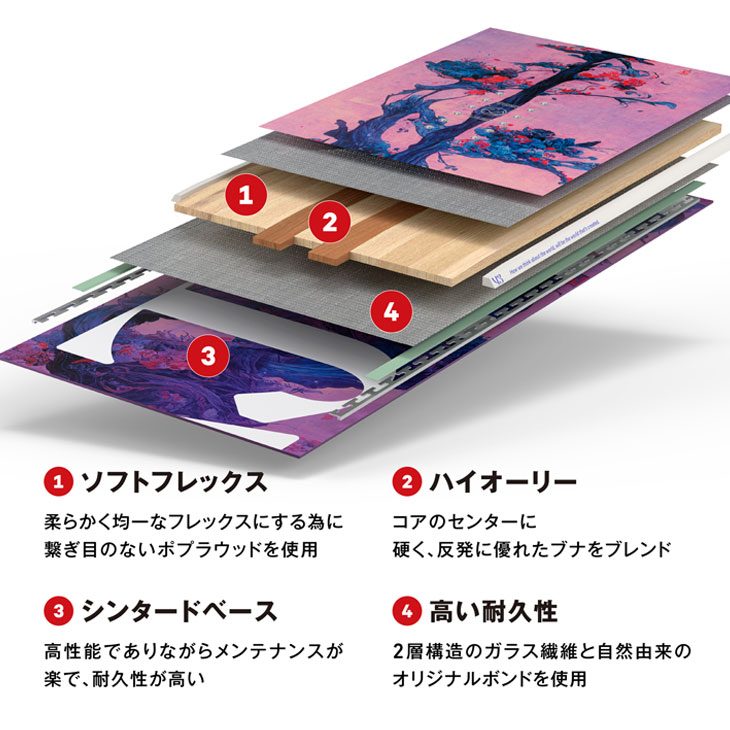 キャビテーション 011 ARTISTIC（ゼロワンワンアーティスティック） 24-25 CAPiTA
