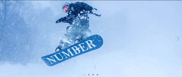 NIDECKER（ナイデッカー） 24-25 NUMBER SNOWBOARDS ナンバー V