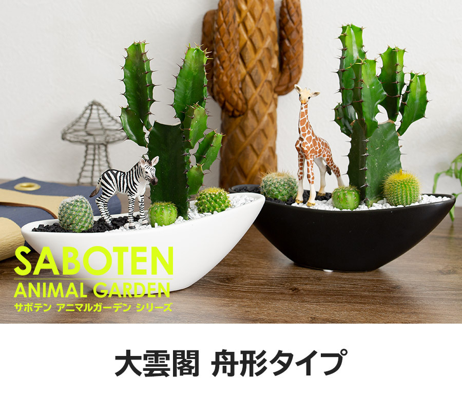 観葉植物 サボテン 寄せ植え 大雲閣 舟形タイプ 選べる動物フィギュア付