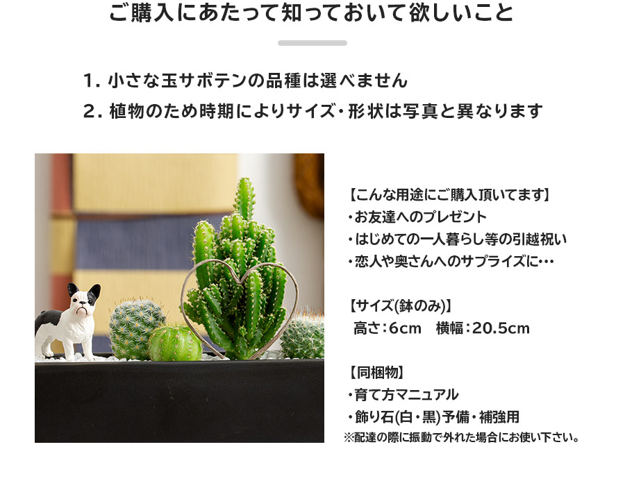 ❤️専用❤️多肉植物❤️そのまま飾れる寄せ植え❤️２点セット❤️ bd1b419b16f7b6c8c6ebd988eadf15