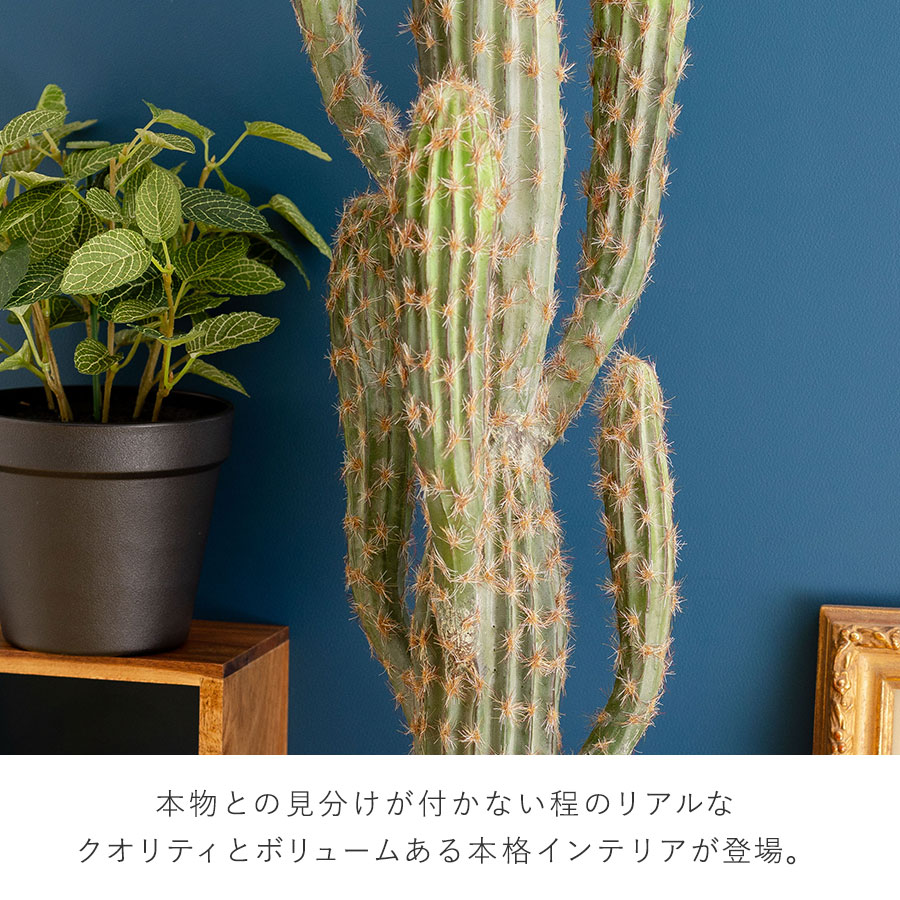 柱サボテン 鉢カバー付 人工樹木 フェイクグリーン : 花と