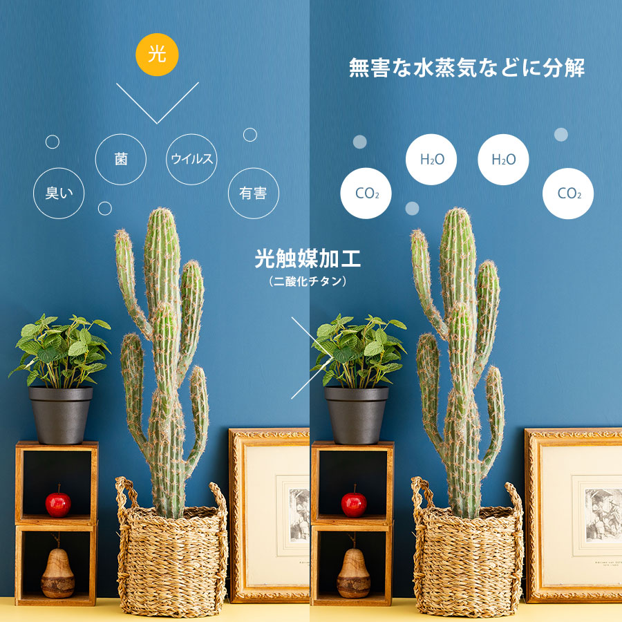 柱サボテン 鉢カバー付 人工樹木 フェイクグリーン : 花と