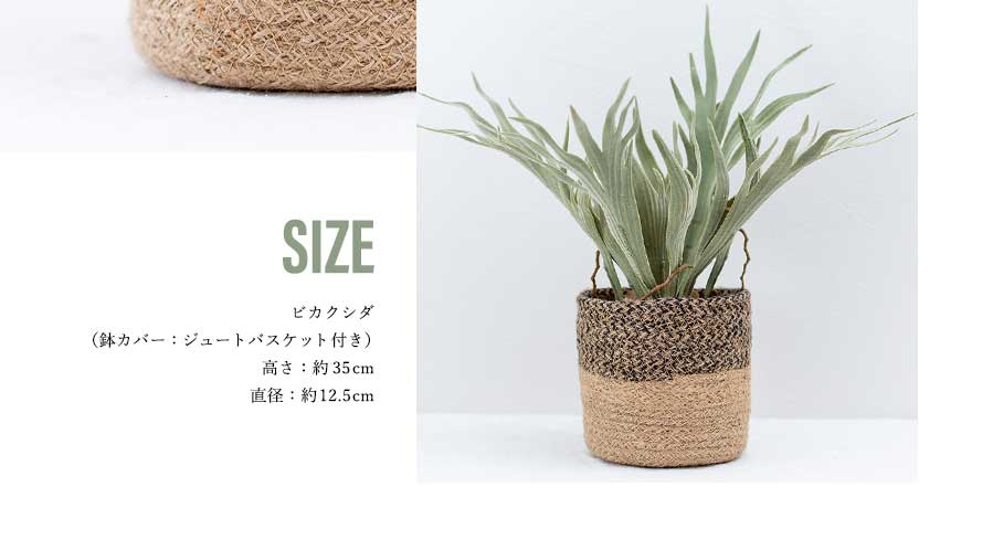 コウモリラン ビカクシダ ポットアレンジ 鉢カバー付 フェイクグリーン