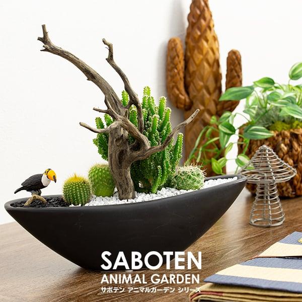 サボテン 寄せ植え トゲなし セレウス 流木タイプ 選べる動物