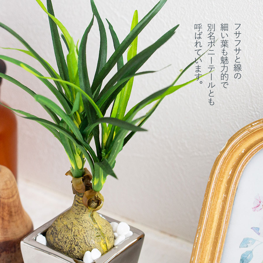 ノリナ トックリラン フェイクグリーン : 花とインテリア雑貨 fleur