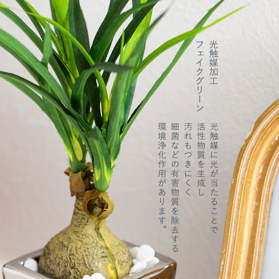 光触媒 人工観葉植物 ウォールグリーン フェイクグリーン ノリナ