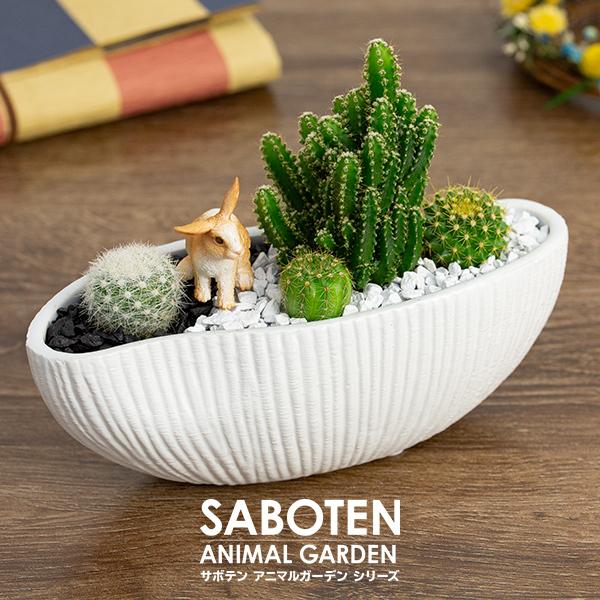 サボテン 寄せ植え トゲなし セレウス 波形タイプ 選べる動物