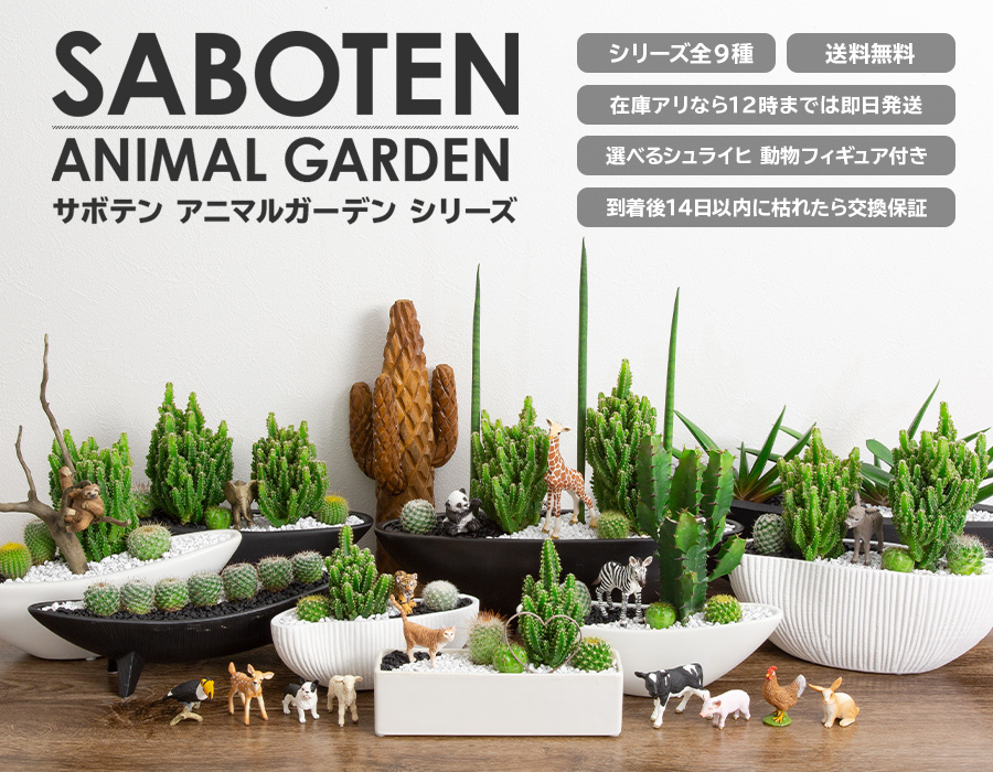 観葉植物 サボテン 寄せ植え 大雲閣 舟形タイプ 選べる動物フィギュア付