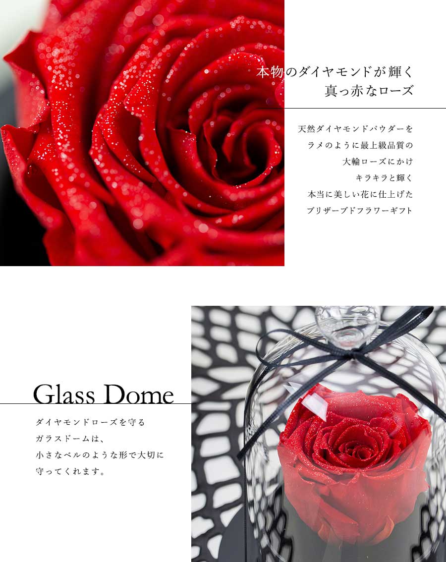 NUMBER.DOME meteor ダイヤモンドローズ ブリザーブドフラワー 000000000191_LdtMhot.jpg