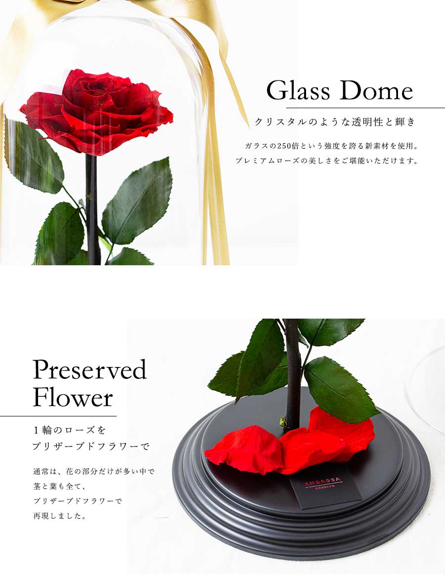 プリザーブドフラワー 運命を繋ぐ赤花 Destiny*Rose 花 ローズ