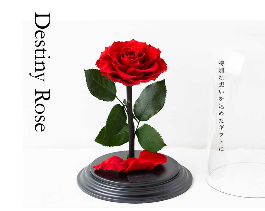 プリザーブドフラワー 運命を繋ぐ赤花 Destiny*Rose 花 ローズ