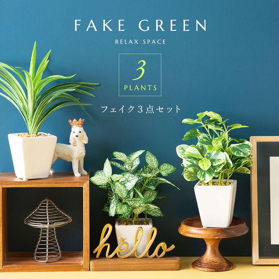 フェイク3点セット フェイクグリーン : 花とインテリア雑貨 fleur
